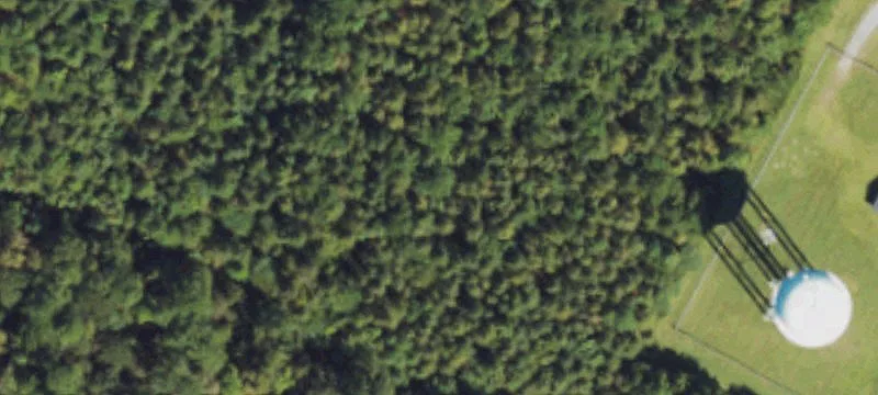 Wallace, NC 28466