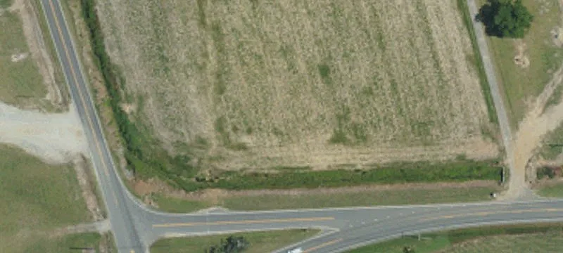 Faison, NC 28341