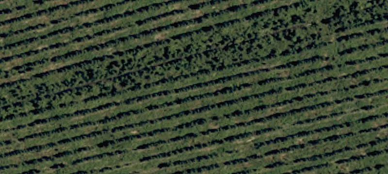 32 Tract 25