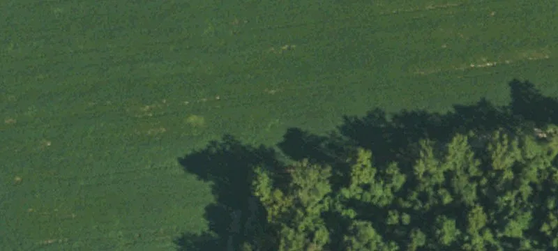 Bud Hawkins Rd