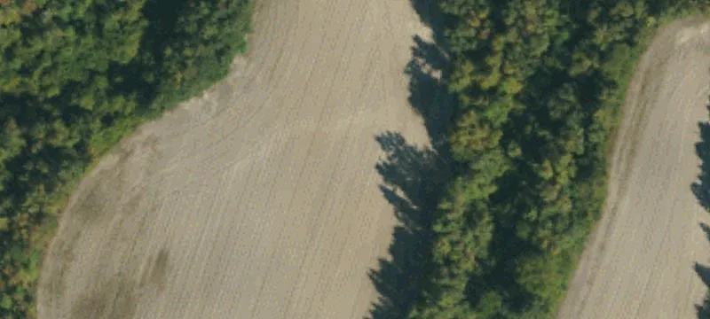 2044 Wire Rd