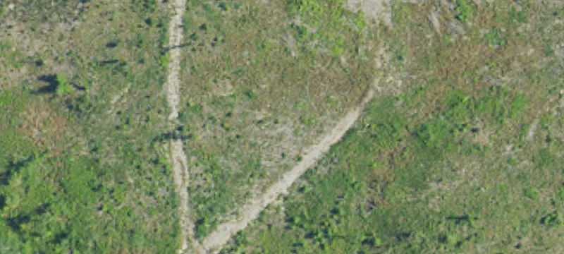 Ponderosa Rd