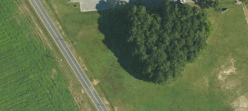 White Line Rd