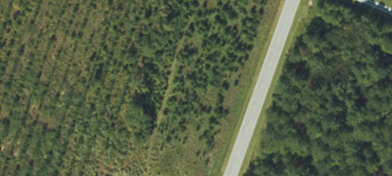 425 Dry Monia Rd