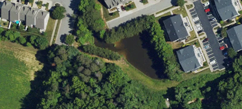 Piney Grv Rd