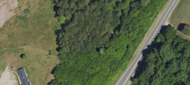 Alamance Rd