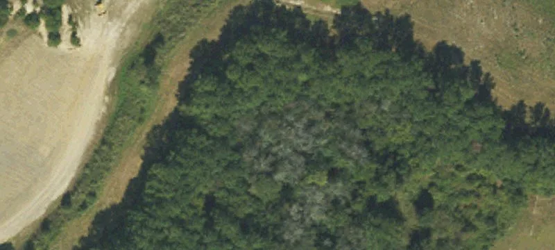 Sts Fry Rd
