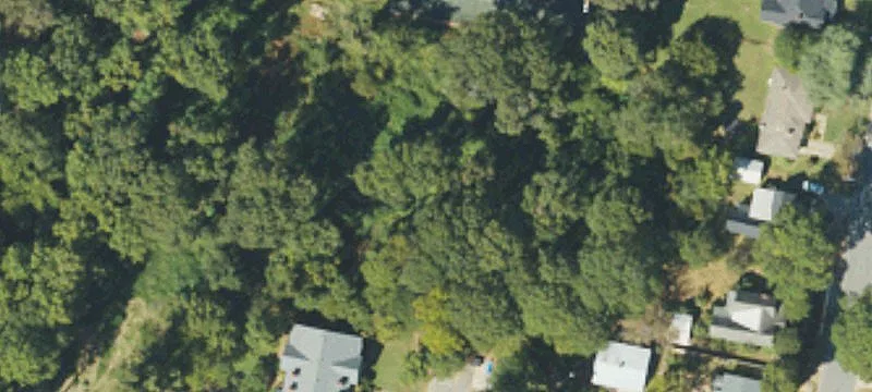 Maple St