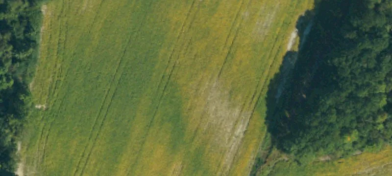 Chicken Farm Rd