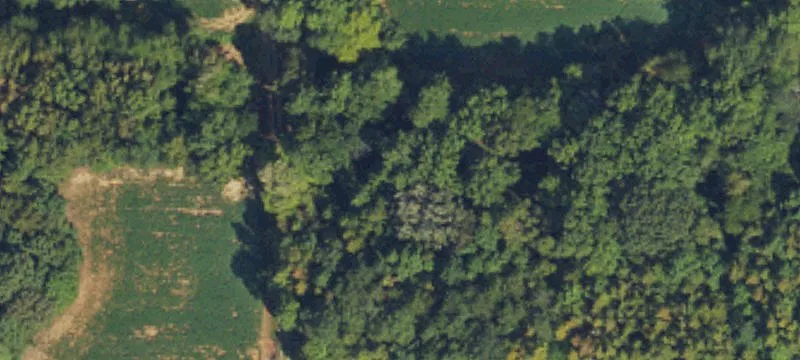 Big Oaks Dr