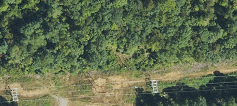 54 Morgan Br Rd