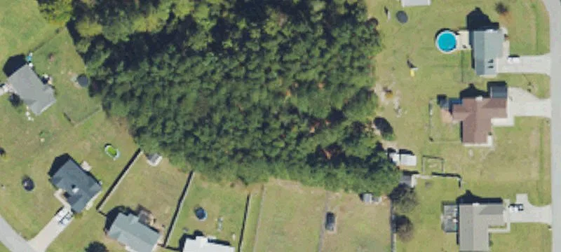 Ivy Dr