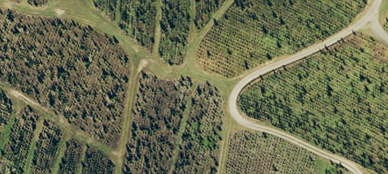 Spanish Oak Rd