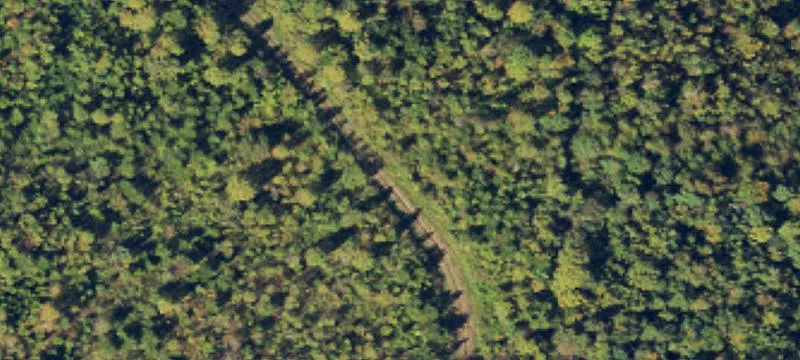 Mosswood Rd