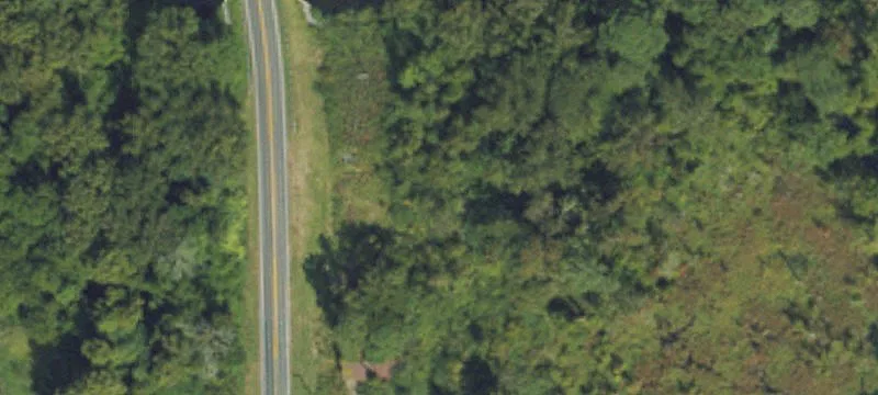 Davis Ml Rd