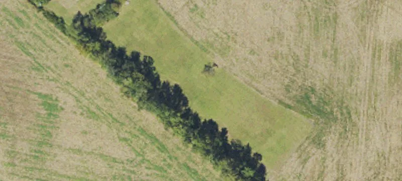 Mcphail Rd