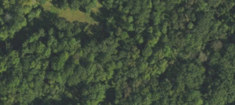 Woodbury Farm Dr