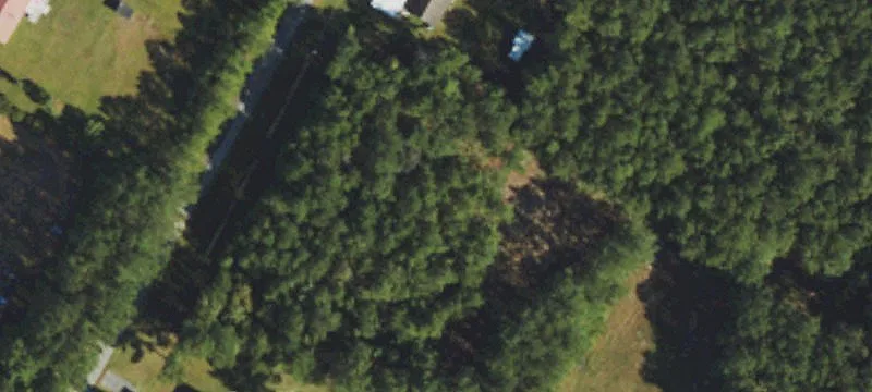 Piney Ln