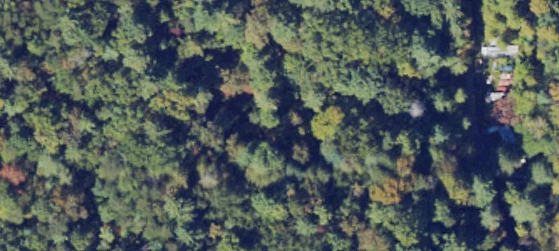 1958 Brown Mtn Bch Rd
