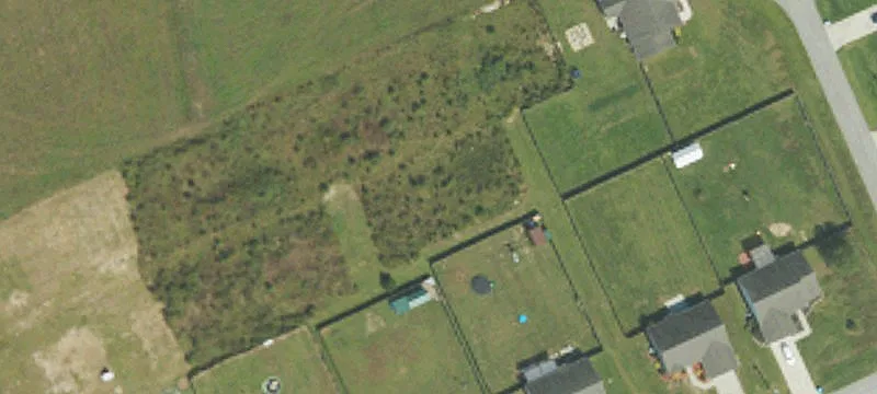 Mingo Dr