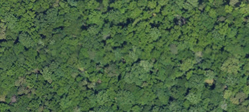 Patterson Rd