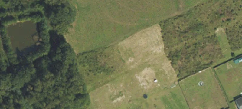 Mingo Dr