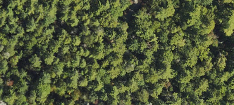 Cedar Mountain, NC 28718