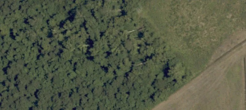 Caratoke Hwy