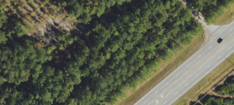 677 Us Hwy 17th N