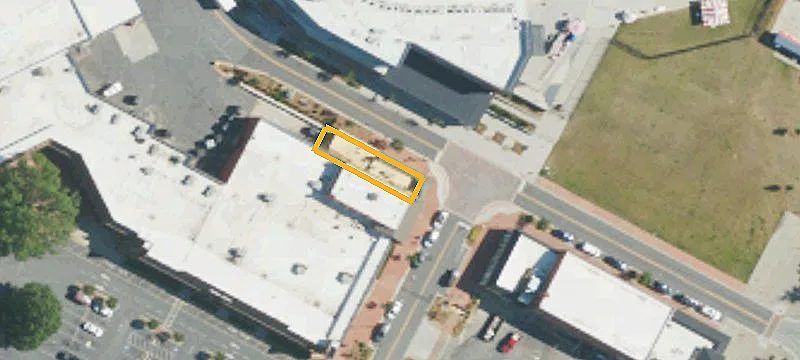 202 Oak Ave