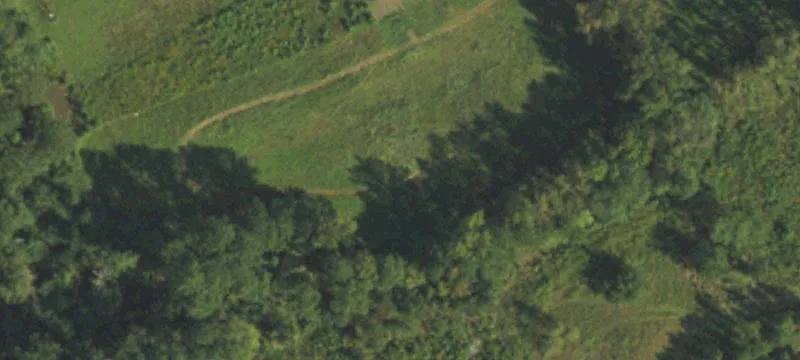 Pear Tree Ln
