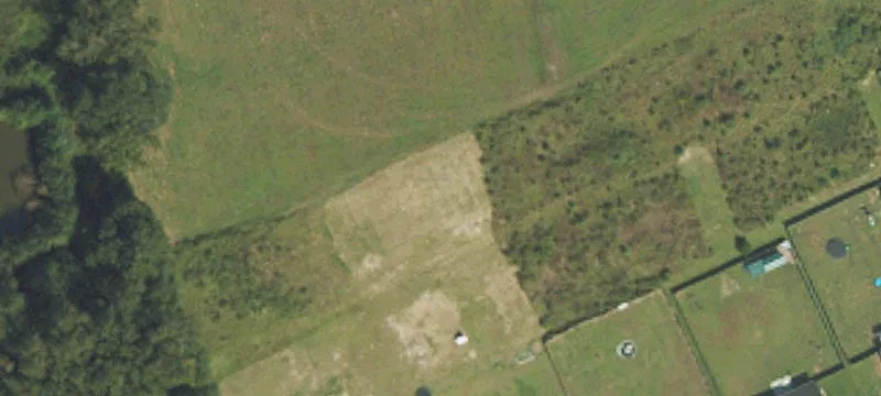 Mingo Dr