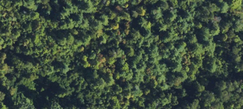 Monticello Rd