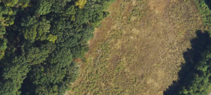 Efland, NC 27243