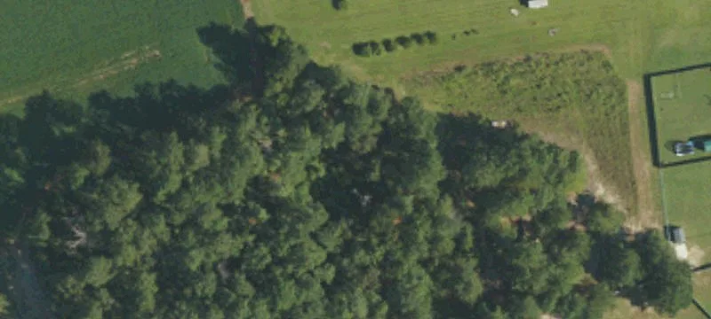 1867 Will Lucas Rd