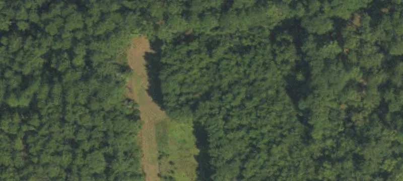 Burrell Ln