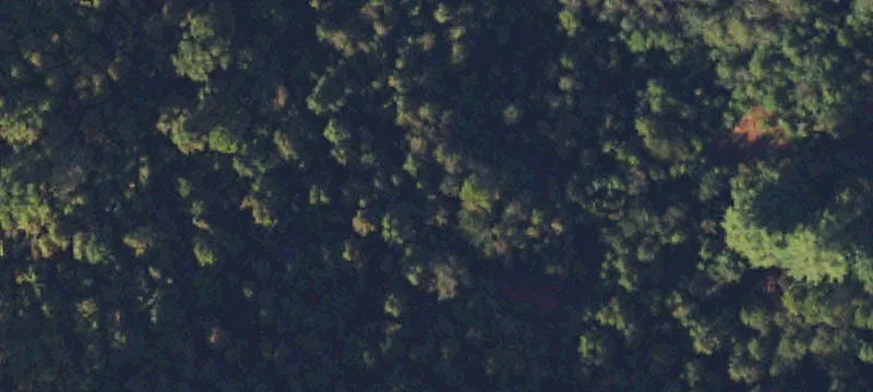Georgia Rd