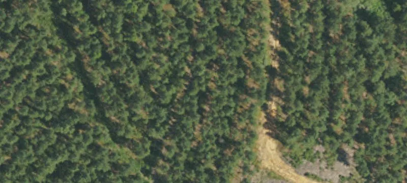 Iron Furnace Rd