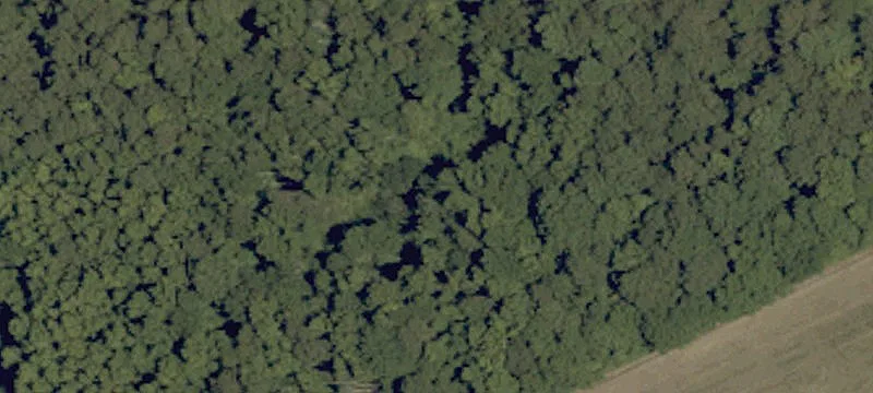 Shortcut Rd