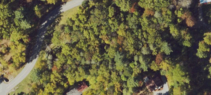 31 Eagles Nest Trl