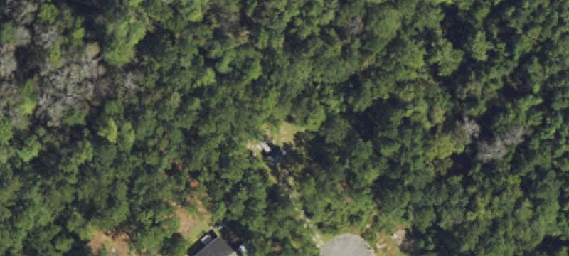 Peyton Pl
