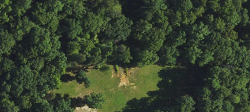 Lemons Rd
