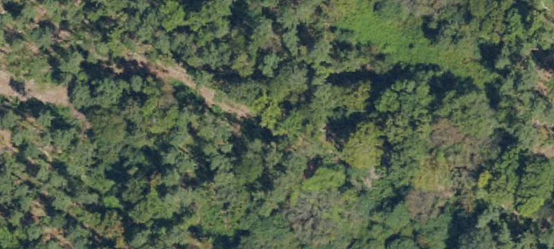 Zimmerman Rd