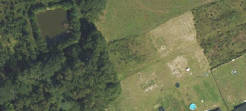 Mingo Dr