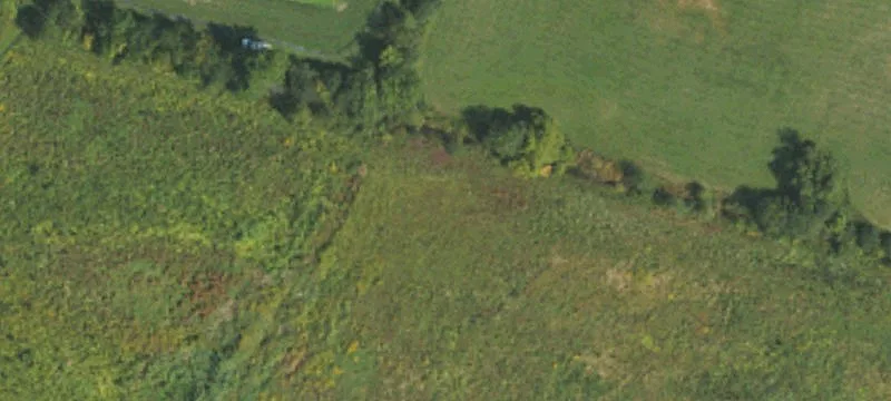 741 Old Fanning Brg Rd