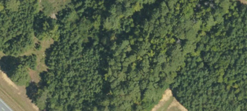 Boone Trl Rd