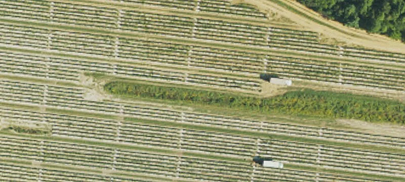 Fletcher, NC 28732