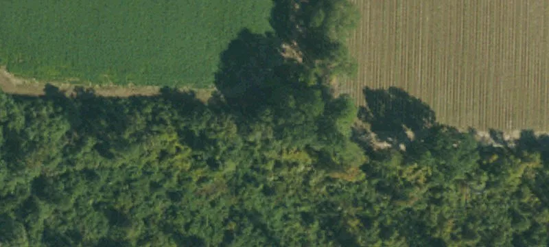 9892 Nc 210th N
