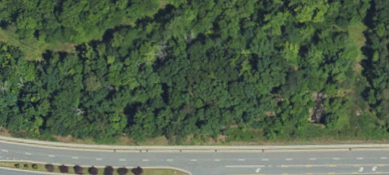 Grand Oaks Blvd