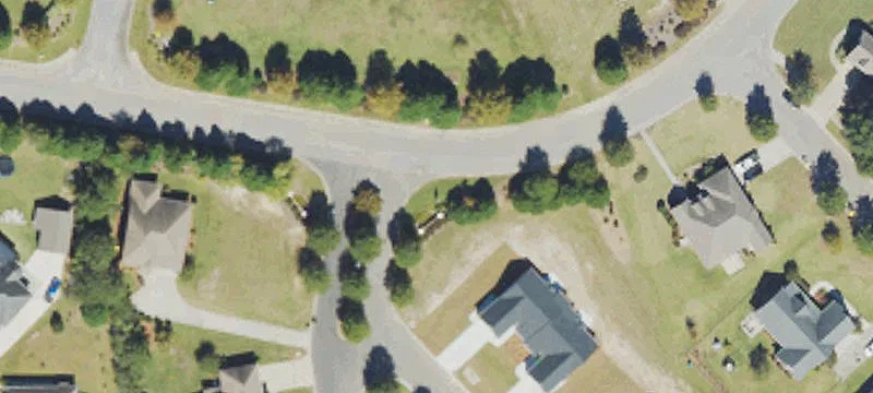 Redwood Way